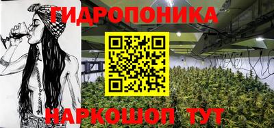 PSILOCYBIN Чебоксары