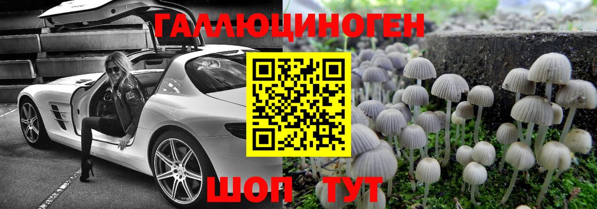Галлюциногенные грибы Psilocybine cubensis  Псилоцибиновые грибы Magic Shrooms  Вход с VPN  Баксан 