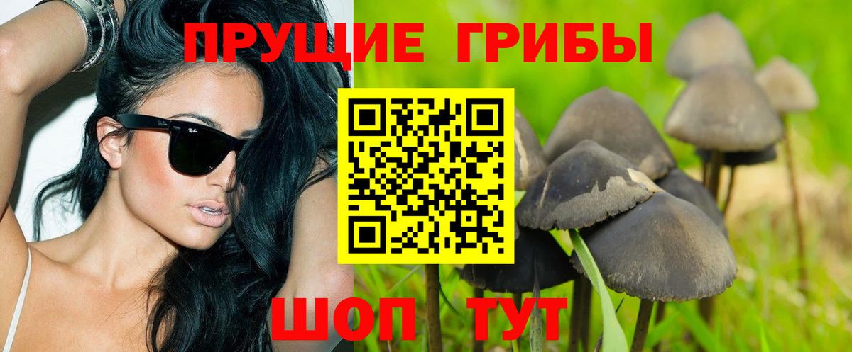 Галлюциногенные грибы ЛСД Баксан